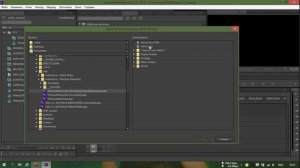 APP adobe dynamic link