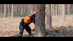 Областные соревнования вальщиков леса "Лесоруб 2021"