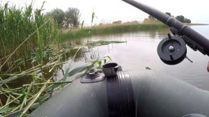 Ловля Сазана и Крупного КАРАСЯ в камыше .