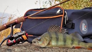 На какие приманки крупный окунь идет лучше?