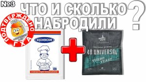 БРАГА НА ДРОЖЖЕВОМ МИКСЕ ИЗ БРАГМАН48 И СУХИХ  ВОРОНЕЖСКИХ! ЧТО И СКОЛЬКО НАБРОДИЛИ ПО ГХ АНАЛИЗАМ?