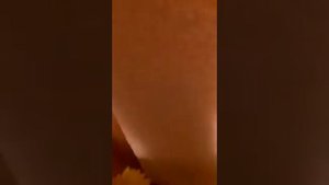 Страшный кот нападает на друзей