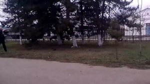 Жесть нам взорвали школу !)😵😨