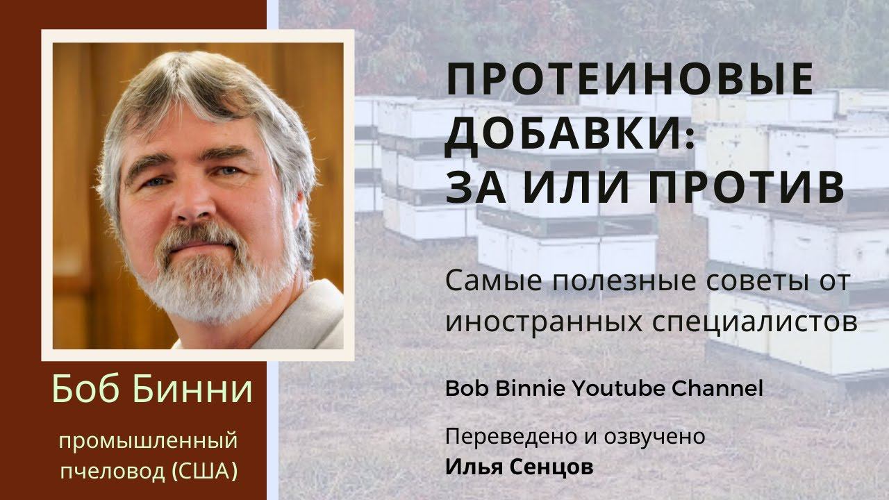 Существуют ли заменители пыльцы и стоит ли применять белковые добавки (Боб Бинни, США)
