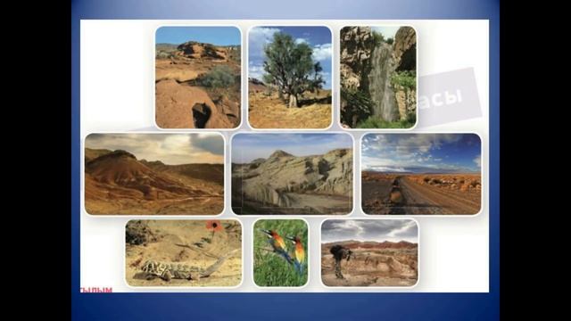 №75 Алтынемел ұлттық саябағында.