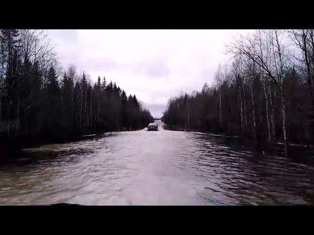 Отрадное половодие смотреть онлайн