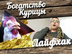 Богатство Курицы: Лайфхак. Как душить одноглазую змею