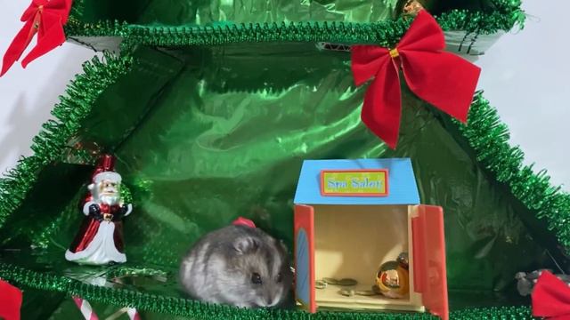Новогодний хомяк 🐹🎄Лабиринт для хомяка🤩