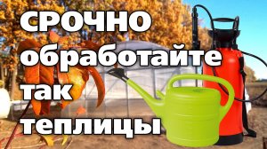 ОСЕННЯЯ ОБРАБОТКА ГРЯДОК В ТЕПЛИЦАХ. Это важно, если растения болели