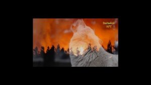 Виталий Айтян-Исповедь волка