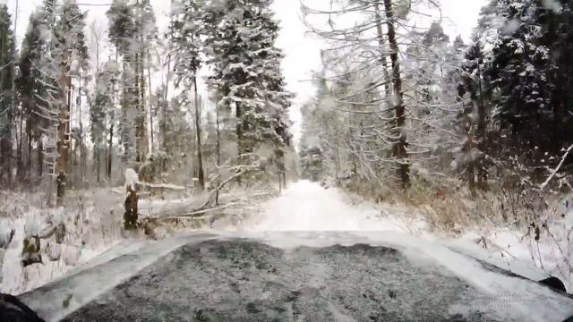 Хорошо зимой в лесу смотреть онлайн