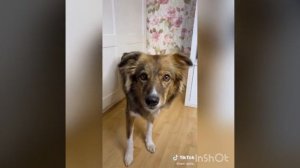 Лёд сутки на пролёт Мама и батя 🤣🤣🤣🤣🤣🤣🤣🤣🤣😂😂😂😂😂😂😂