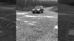 Лексус ЛХ 470 #Лексус#Lexus#LexusLX470