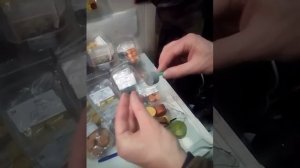 Насаживаем бойл или таблетку без стопора
