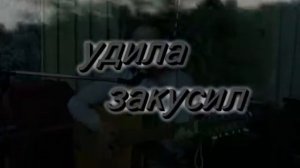 Александр Роженцов   ВОЛЧЬЯ ДОРОГА  муз  и сл А Роженцов