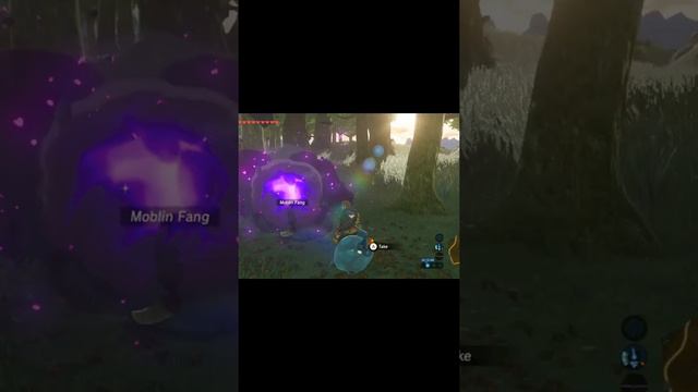 MOVIE 2 of  my best shoot  just now in the BOTW