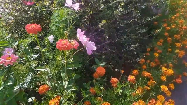 Новоиsпечённого абитуриента Лену Хеппи прошибает холодный пот.Sтанет ли деффочка sтуденткой? смотреть онлайн