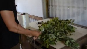 Бизнес идея на вениках разных сортов. #бизнесидея