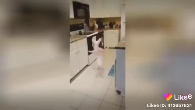 Хохма смотреть онлайн