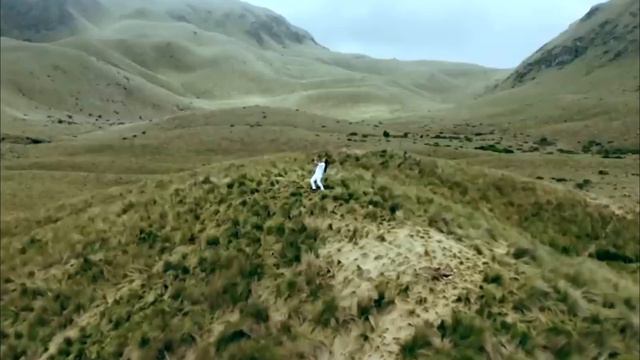 MOTHER EARTH - Wuauquikuna #music #song смотреть онлайн