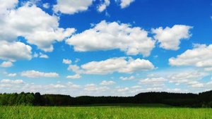 ОБЛАКА, таймлапс. Природа Брянской области. Time Lapse Nature Bryansk region. Clouds.