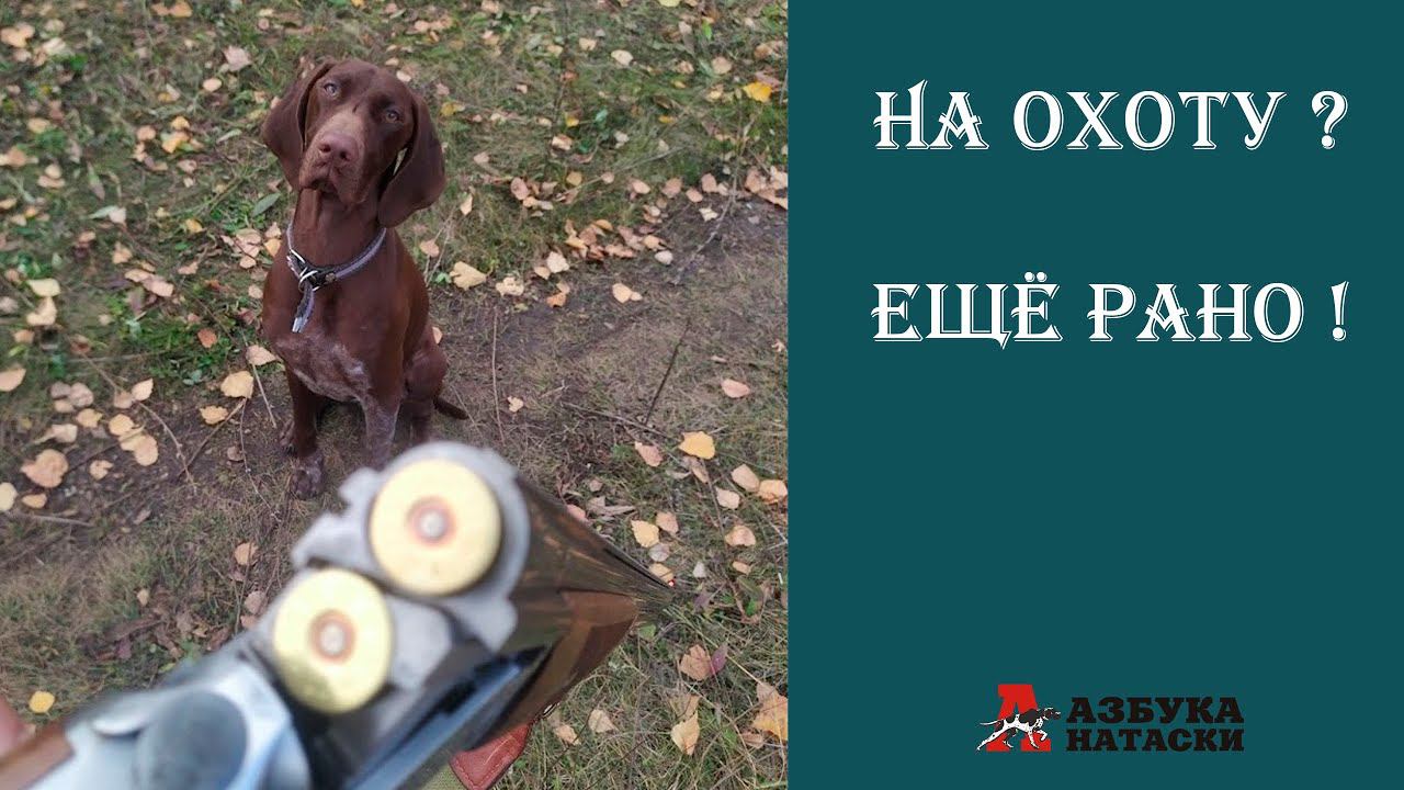 Натаска вместо охоты! 17 серия смотреть онлайн