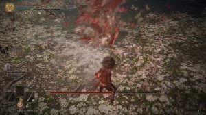 Elden Ring - Malenia vs let me solo her cosplay