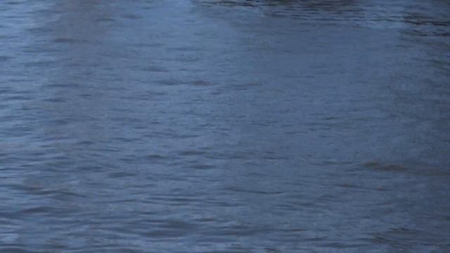 Оживлённое судоходство на Преголе смотреть онлайн