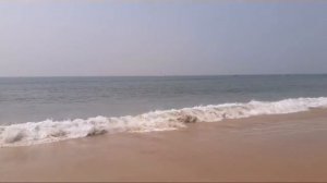 КАНДОЛИМ, ПЛЯЖ В НОЯБРЕ, ГОА, ИНДИЯ || selected spices