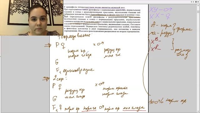 Решение генетических задач линии 28. Сцепленное с полом наследование (дрозофилы). смотреть онлайн