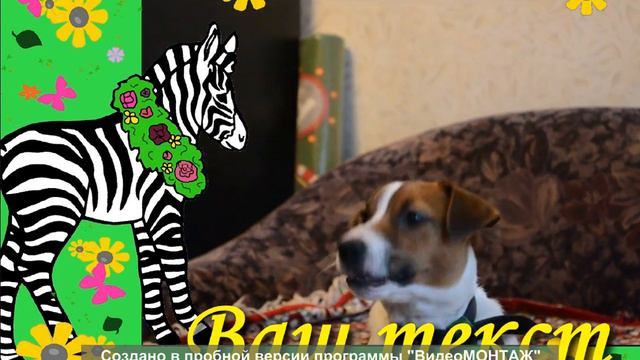 детский город смотреть онлайн