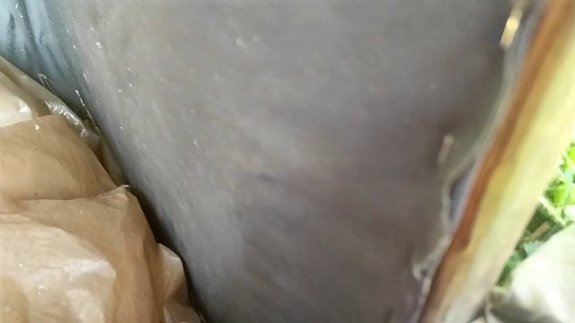 30.05.22.Дача.Картошечка всходит?а птичка продолжает кричать по ночам..кто она? смотреть онлайн