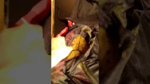 Обзор на моторубашку Starks Room Biker