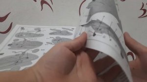 обзор модели миг 1.44 от звезды