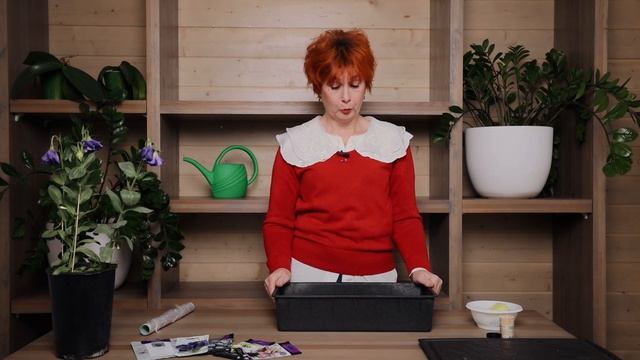 Как вырастить удивительную красавицу эустому в домашних условиях