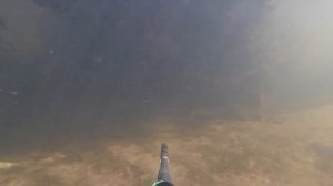 Разведка. Река Сестра.