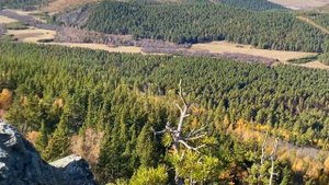 Гора Вишневая