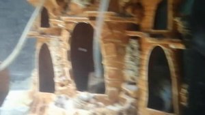 Запускаем аквариум с цихлидами и сомами.Сом -перевёртыш.