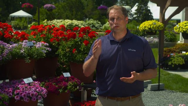 Selecta One -- Ball Seed Customer Days 2021 смотреть онлайн