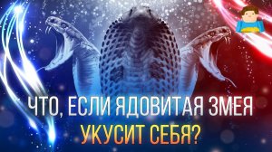 Что, если ядовитая змея укусит СЕБЯ? | Plushkin