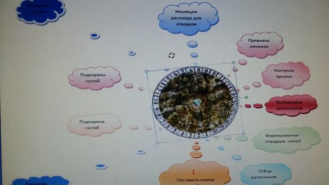 Календарь вывода маток смотреть онлайн