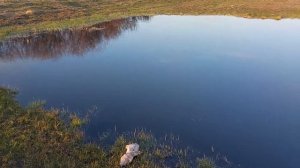 Пруд возле дома СВОИМИ РУКАМИ! Обзор моего пруда...