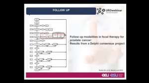 Urowebinar: Focal Therapy - (R)Evolution in the management of Localised Prostate Cancer