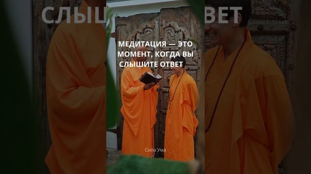 Сила ума: Как медитация меняет жизнь