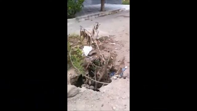video reportería- Denuncia mal estado en la calle principal del barrio Orquídeas II en Flandes смотреть онлайн