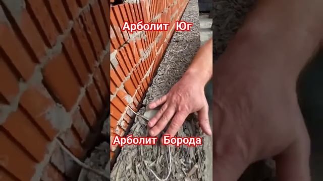 дом из арболита #арболит #строительстводомов #арболитборода #арболитюг