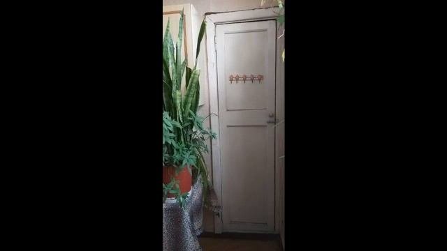 Комната