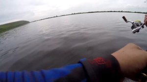 Щука и Окунь на спиннинг. Красноярское водохранилище.