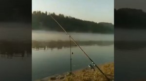 Доброе утро
