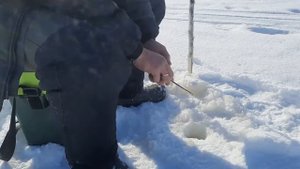 Рыбалка в Коми / Рыбалка на озере Кадам / Окуни - кочегары?